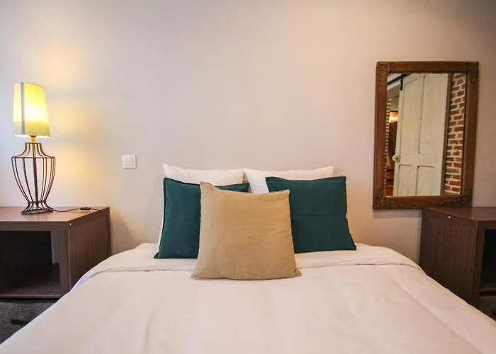Duplex In The Heart Of Old Lille Terrace + Parking